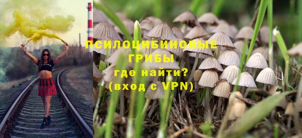 ПСИЛОЦИБИНОВЫЕ ГРИБЫ Карпинск