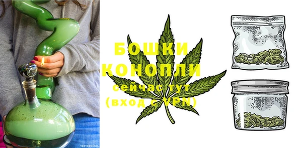 ПСИЛОЦИБИНОВЫЕ ГРИБЫ Карпинск