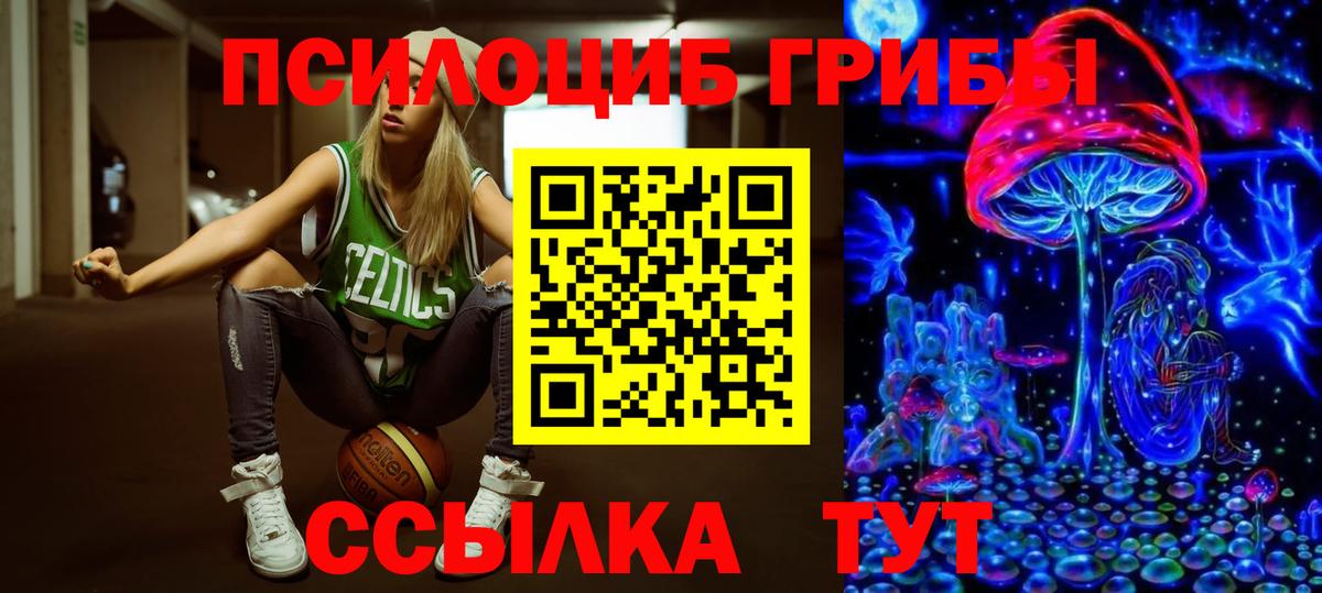 купить наркотики сайты  Вход с VPN  Полевской  Галлюциногенные грибы Magic Shrooms  Псилоцибиновые грибы прущие грибы 